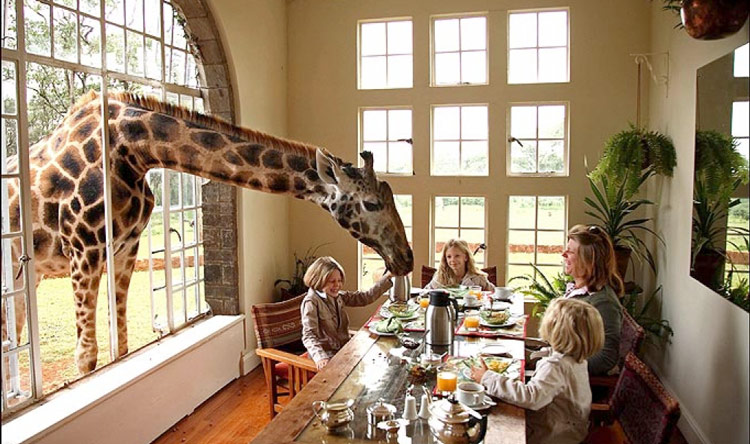 giraffe-manor-kenya