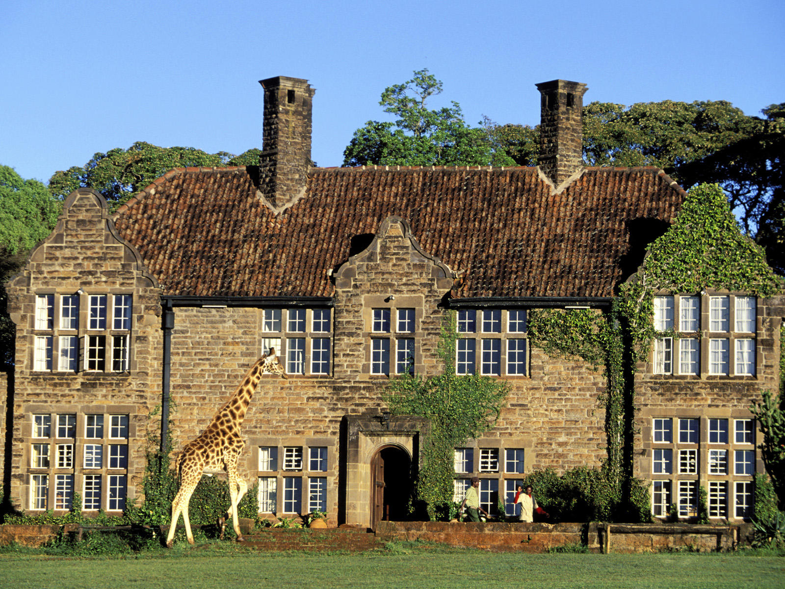 Kenya, Nairobi region, the Giraffe Manor