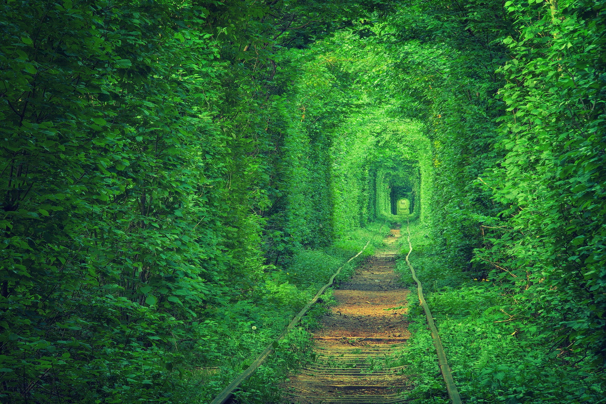 “Тунелът на любовта” в Клеван, Украйна (Tunnel of Love, Ukraine)